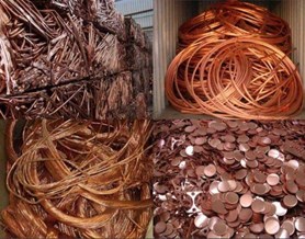 Phân biệt đồng thật và đồng pha tạp, cách test nhanh trong 60 giây